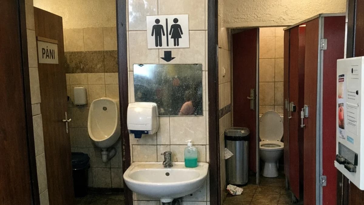 Pohlaví a soukromí: Porozumění českým zvyklostem na toaletách a jejich modernímu vývoji